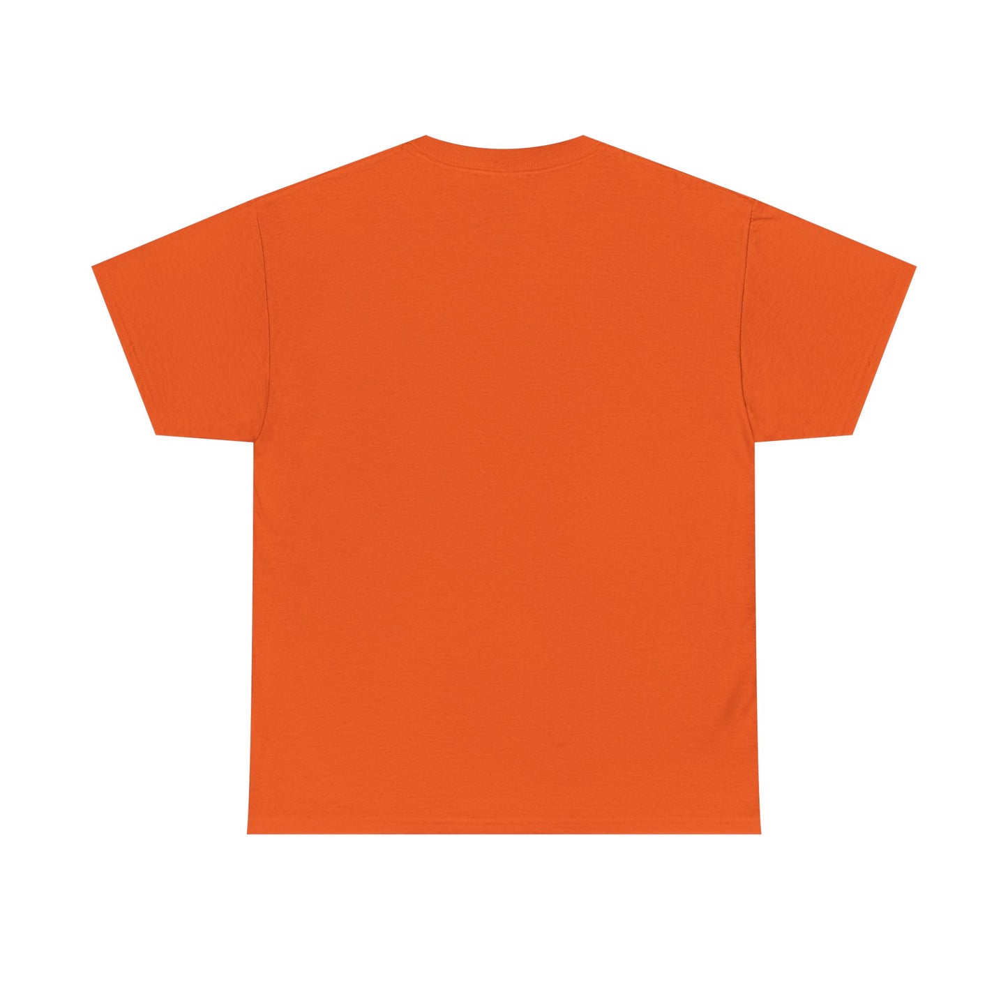 Airborne Forces Tee — "This Isn't Just Fashion, It's a Statement" Military Aviation T-Shirt