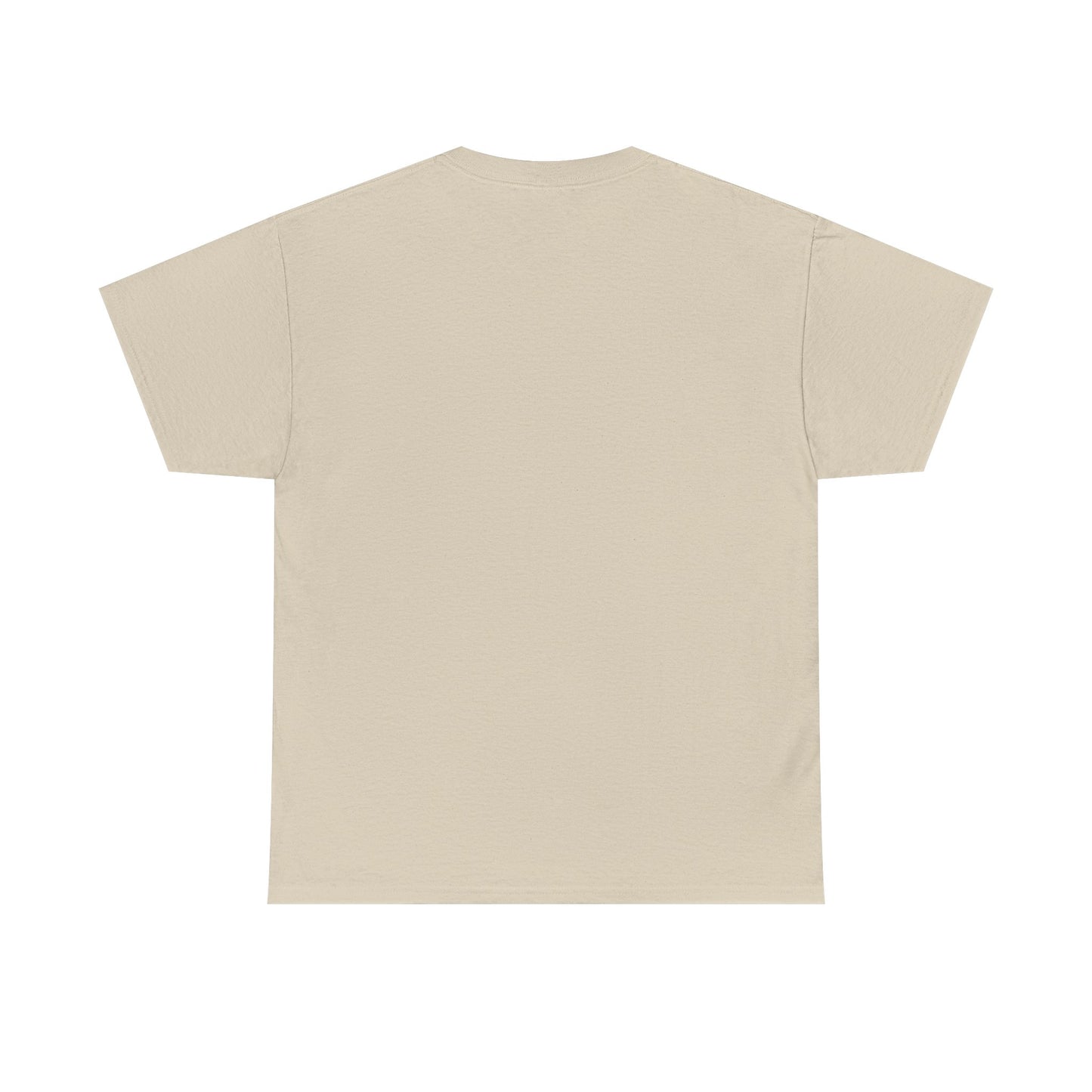 Airborne Forces Tee — "This Isn't Just Fashion, It's a Statement" Military Aviation T-Shirt