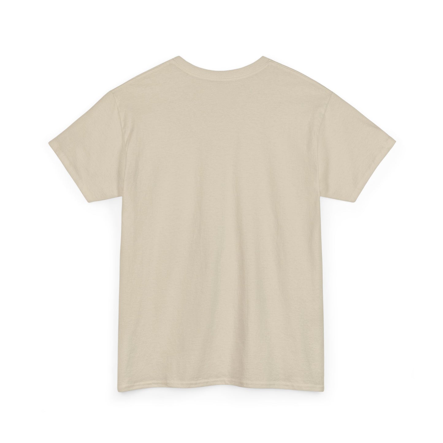 Airborne Forces Tee — "This Isn't Just Fashion, It's a Statement" Military Aviation T-Shirt