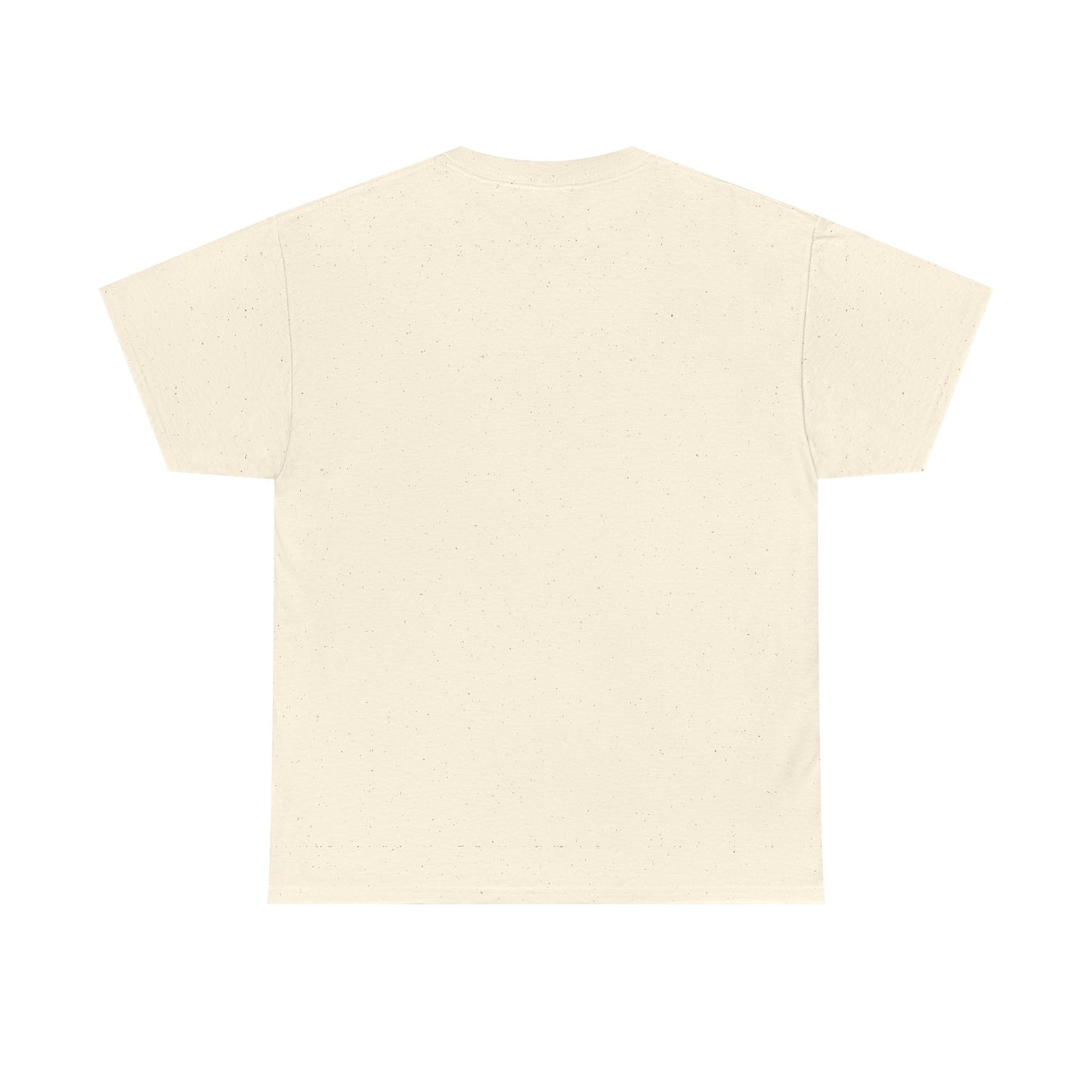 Airborne Forces Tee — "This Isn't Just Fashion, It's a Statement" Military Aviation T-Shirt