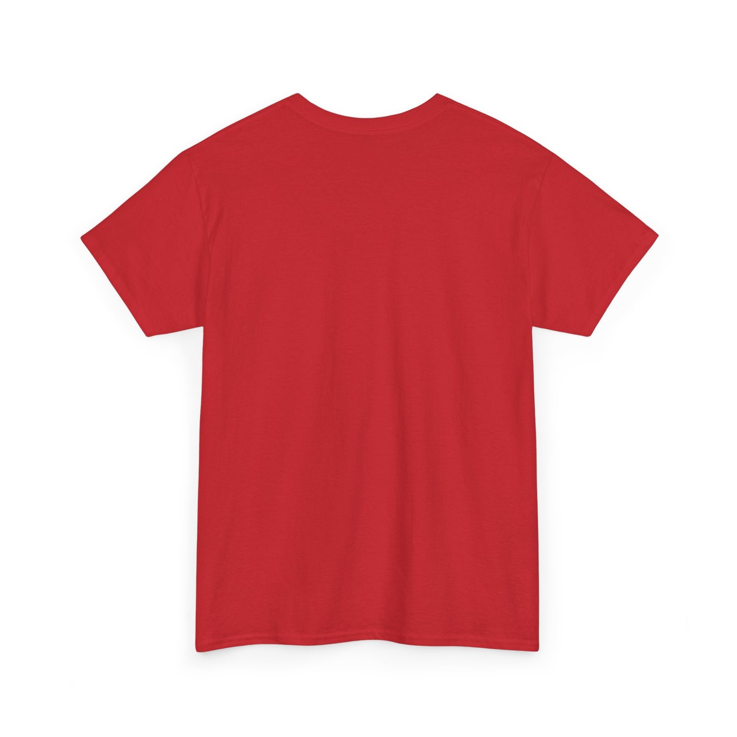 Airborne Forces Tee — "This Isn't Just Fashion, It's a Statement" Military Aviation T-Shirt